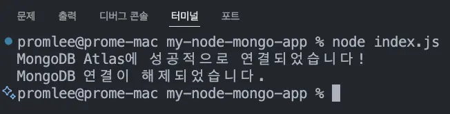 실행 결과