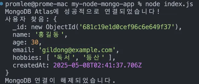 findOne 결과 화면