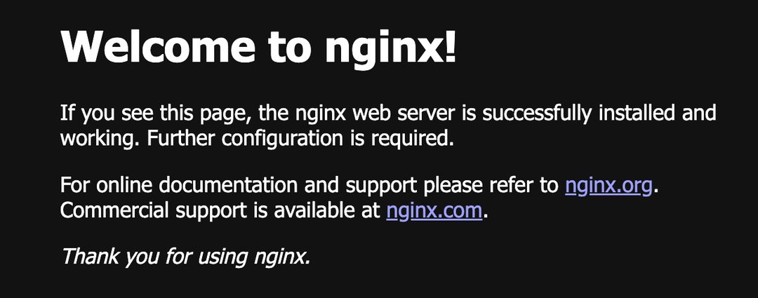 Nginx 웹 서버 실행 성공