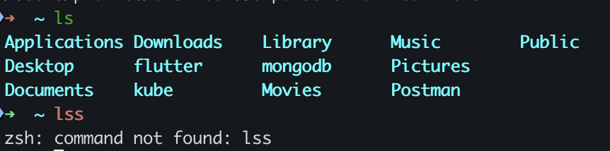 zsh-syntax-highlighting 적용 후